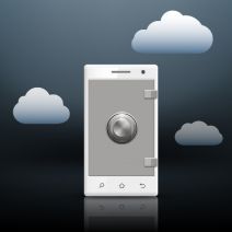 Smartphones Call For Smart Security
