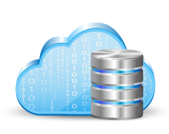 Hosted Server and Infrastructure